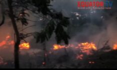berita-pilihan-foto